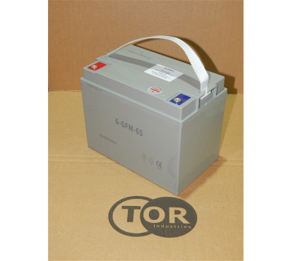 Аккумулятор свинцово-кислотный герм. (GEL) 12В/65Ач (20Hr) 230х140х180 для штабелера CQDA-EL Аккумулятор свинцово-кислотный герм. (GEL) 12В/65Ач (20Hr) 230х140х180 для штабелера CQDA-EL