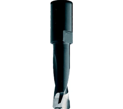 Фреза HW для DOMINO-FESTOOL 14x70x90 Z=2 S=M8x1,0 RH	